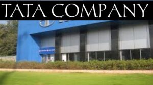 How was the Tata company created?